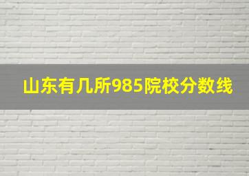 山东有几所985院校分数线