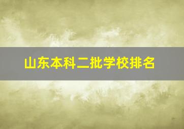 山东本科二批学校排名