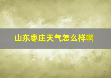 山东枣庄天气怎么样啊