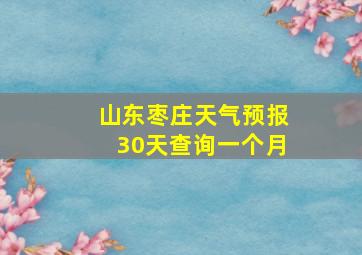 山东枣庄天气预报30天查询一个月