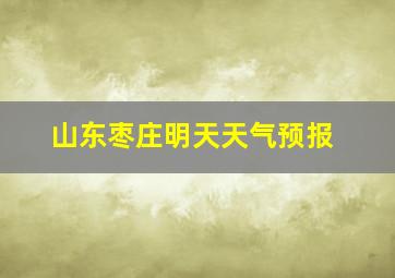 山东枣庄明天天气预报