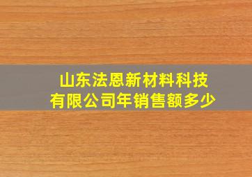 山东法恩新材料科技有限公司年销售额多少