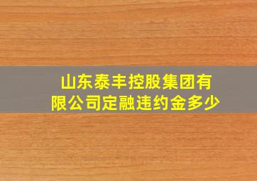 山东泰丰控股集团有限公司定融违约金多少