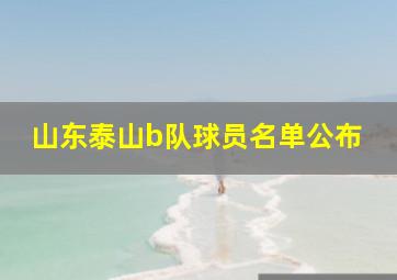 山东泰山b队球员名单公布