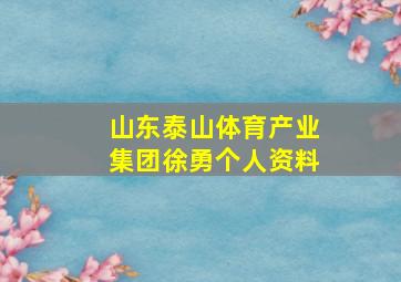 山东泰山体育产业集团徐勇个人资料