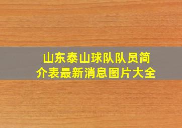 山东泰山球队队员简介表最新消息图片大全