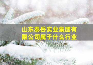 山东泰岳实业集团有限公司属于什么行业