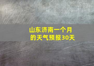 山东济南一个月的天气预报30天