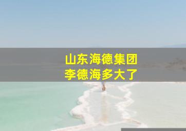 山东海德集团李德海多大了