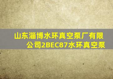 山东淄博水环真空泵厂有限公司2BEC87水环真空泵