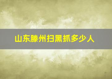 山东滕州扫黑抓多少人