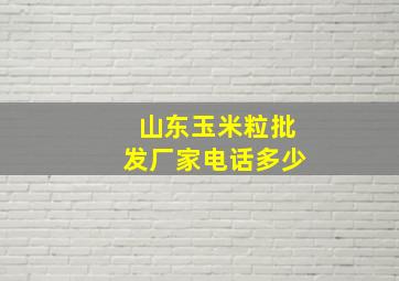 山东玉米粒批发厂家电话多少