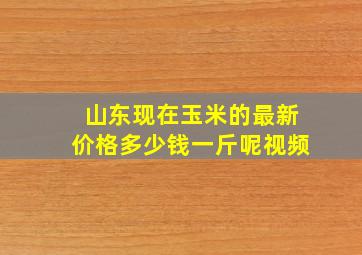 山东现在玉米的最新价格多少钱一斤呢视频