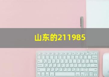 山东的211985