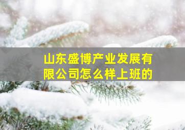 山东盛博产业发展有限公司怎么样上班的