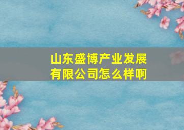 山东盛博产业发展有限公司怎么样啊