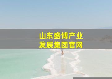 山东盛博产业发展集团官网