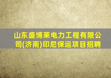 山东盛博莱电力工程有限公司(济南)印尼保运项目招聘