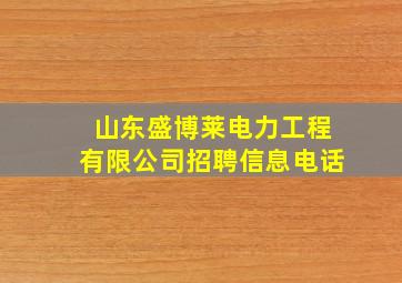 山东盛博莱电力工程有限公司招聘信息电话