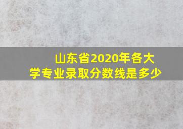 山东省2020年各大学专业录取分数线是多少