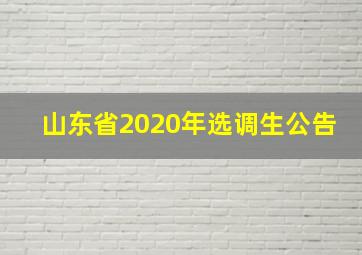 山东省2020年选调生公告