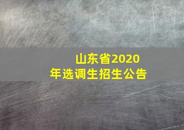 山东省2020年选调生招生公告