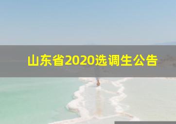 山东省2020选调生公告