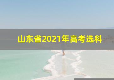 山东省2021年高考选科