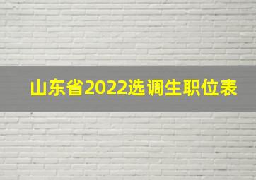 山东省2022选调生职位表