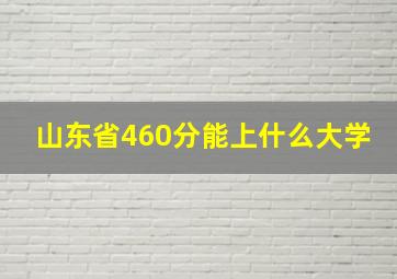 山东省460分能上什么大学