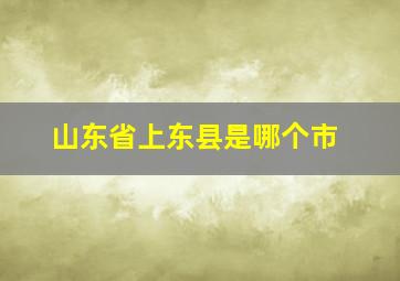 山东省上东县是哪个市