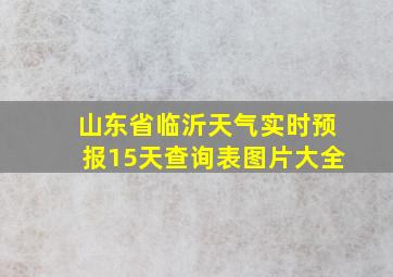 山东省临沂天气实时预报15天查询表图片大全