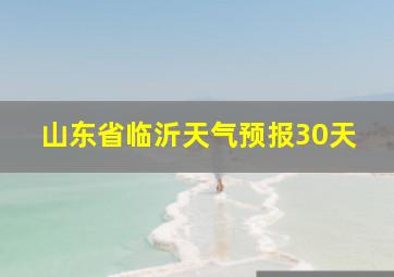 山东省临沂天气预报30天