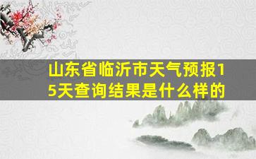 山东省临沂市天气预报15天查询结果是什么样的