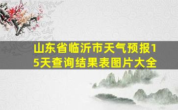 山东省临沂市天气预报15天查询结果表图片大全