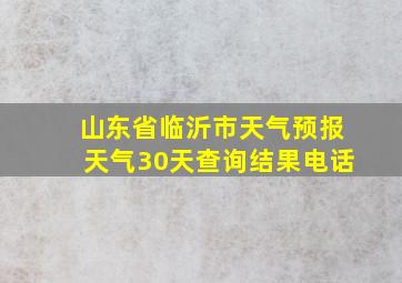 山东省临沂市天气预报天气30天查询结果电话