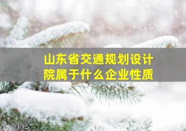 山东省交通规划设计院属于什么企业性质