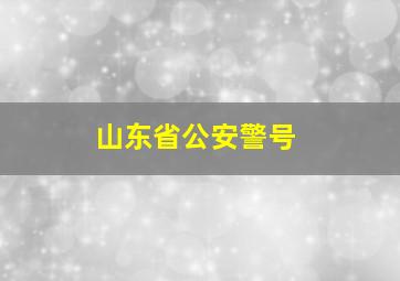 山东省公安警号