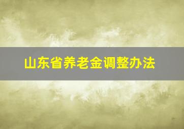 山东省养老金调整办法