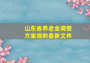 山东省养老金调整方案细则最新文件