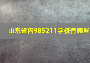 山东省内985211学校有哪些