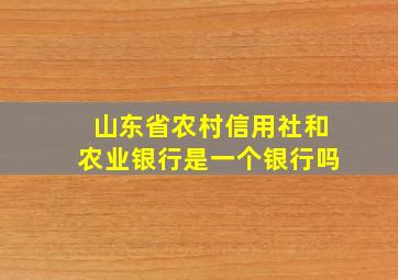 山东省农村信用社和农业银行是一个银行吗