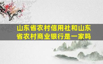 山东省农村信用社和山东省农村商业银行是一家吗