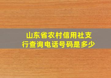 山东省农村信用社支行查询电话号码是多少