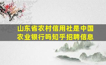 山东省农村信用社是中国农业银行吗知乎招聘信息