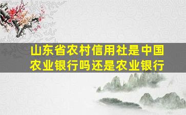 山东省农村信用社是中国农业银行吗还是农业银行