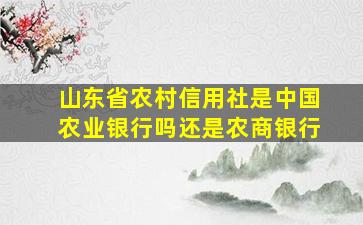 山东省农村信用社是中国农业银行吗还是农商银行