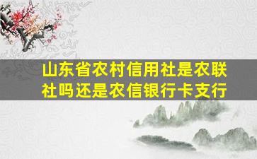 山东省农村信用社是农联社吗还是农信银行卡支行