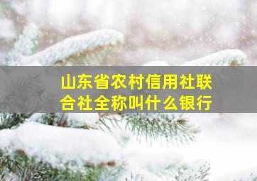 山东省农村信用社联合社全称叫什么银行