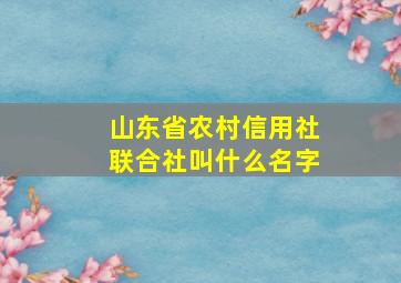 山东省农村信用社联合社叫什么名字